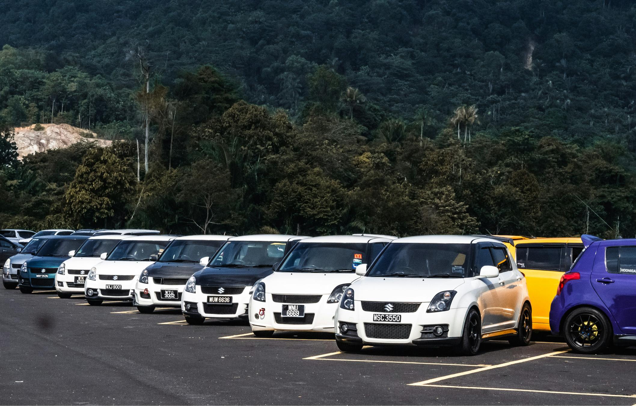 Car-sharing Fleet Operations & Growth Services